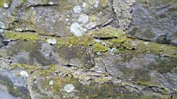 acastle 105745.jpg